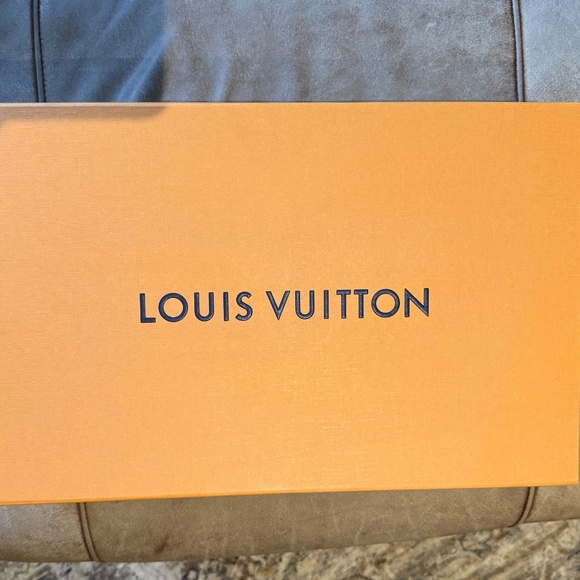 Louis Vuitton Shawl - Picture 4 of 5